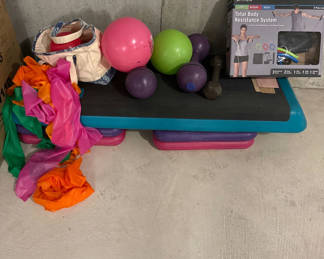 Lot 55: Total Body Resistance System with exercise accessories