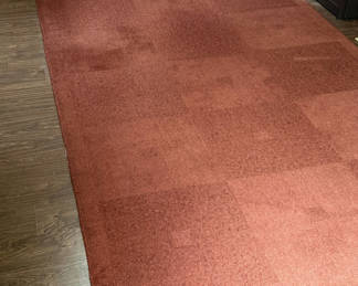 Lot 80: Rust Colored Area Rug