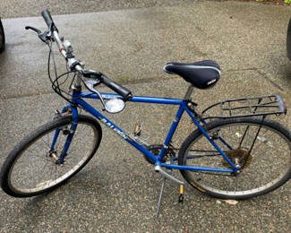 Lot 38: Raleigh Bicycle