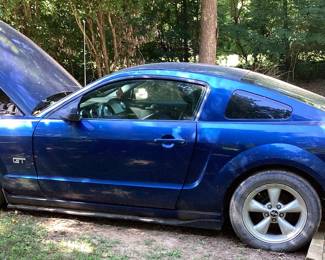 2007 Ford Mustang Gt Gt Deluxe VIN: 1zht82h175261658 Engine: 4.7L V8 Color: BLUE 2007 Blue Ford Mustang Gt Deluxe 2 Door Coupe With 4.6l V8 Engine, Automatic Transmission, This Vehicle Has A Total Loss Claim Title, Engine Is Running, Scan The Qr Code For The Video Or Copy & Paste The Link Https://www.youtube.com/shorts/mdfvwayoyw8