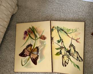 Vintage Butterfly Prints on Wood B Ballestar