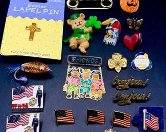 Eclectic Pin Lot