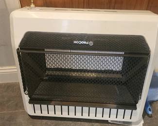 Gas wall heater