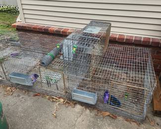 Cages and traps