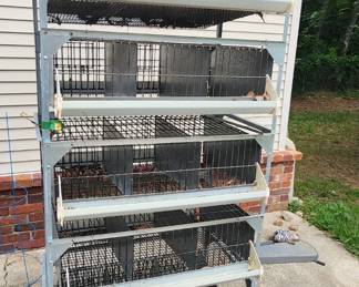 Quail cage tower