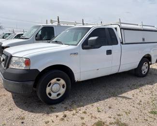 2006 Ford F-150 Pickup Truck, VIN # 1FTRF12W16NB77391
