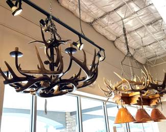 Antler chandeliers 