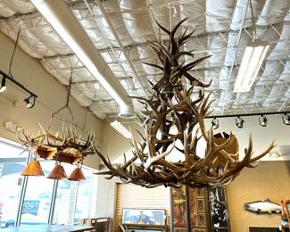 Elk antler chandeliers 