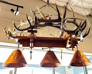 Antler light fixture 