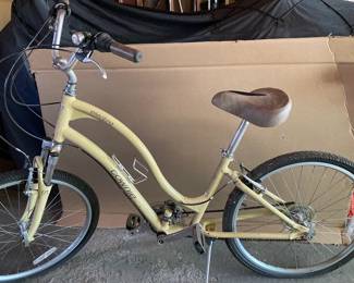 Electra Townie Bike