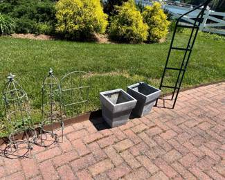 Plant Things