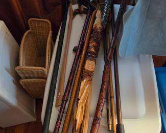 Canes and walking sticks