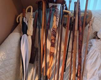 Antique walking sticks and canes