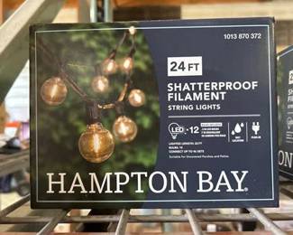 12 Light 24 ft. Indoor/Outdoor Plug-In LED Edison Style String-Light