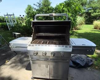 Weber Summit gas grill