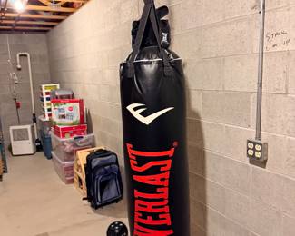 Everlast punching bag with boxing gear