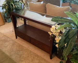 Behind Couch Table And Three Faux Plants