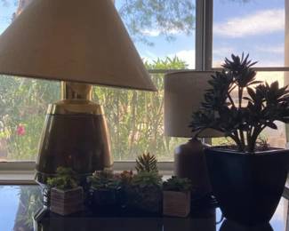 Table Lamps Succulent Decor