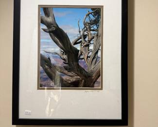 Framed Wall Art