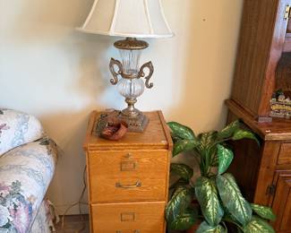 Wooden Filing Cabinet, Decorative Table Lamp, Plants