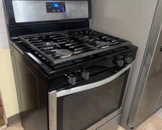 Gas stove