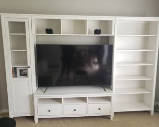 Entertainment center and TV