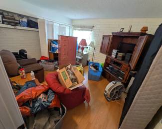 Multiple lamps for tables, ground lamp, storage bins of shirts and jackets, unexplored areas of closet, vintage suitcases