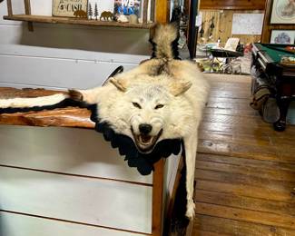 Authentic Alaskan Wolf Pelt Rug with Head Mount