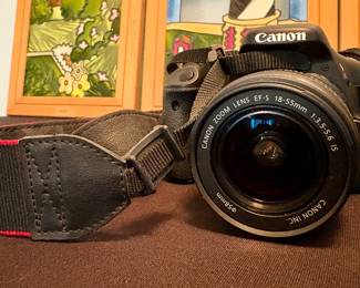 Canon EOS Rebel T2i