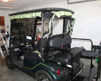 2014 Yamaha gas 4 seater $5,000