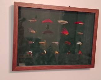 Shadowbox flies