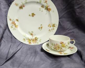 Haviland - Autumn Leaf, 24 piece