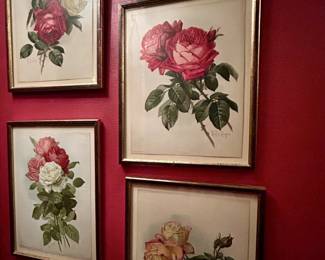 Paul de Longpré Roses  Paul de Longpré Rose Print – Botanical Art Elegant framed botanical print featuring roses by celebrated French floral artist Paul de Longpré. A timeless piece for cottage, Victorian, English garden, and traditional interiors. Perfect for collectors of botanical prints, floral artwork, and antique-inspired décor.