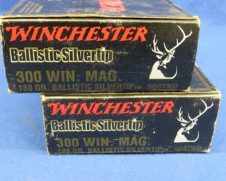 Lot 441. 39 Winchester 300 WIN MAG rounds