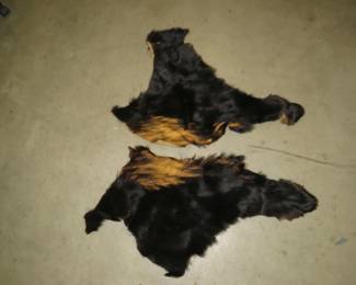 Lot 425. Two pieces of tanned bear hide. Both with claws.