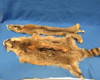 Lot 118. Bobcat and raccoon hides