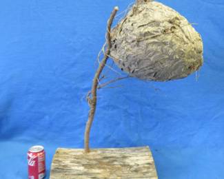 Lot 279. Paper Wasp nest suitable for wall mounting