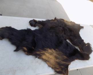 Lot 308. Small bear partial hide with two feet and claws