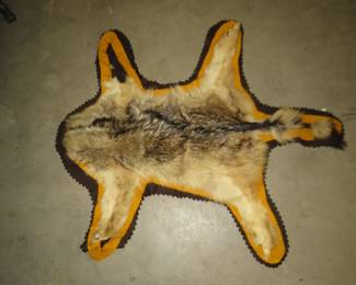 Lot 52. Unknown tanned animal hide on a felt backing. Fair condition.