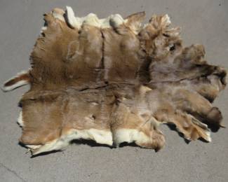 Lot 364. Tanned whitetail hide