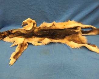 Lot 48. Tanned silver fox(?) hide