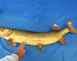 Lot 276. 42" Muskie wall mount