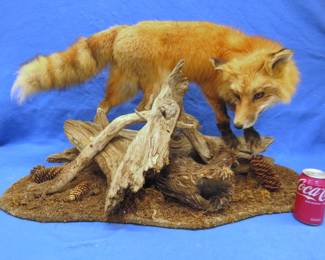 Lot 54. Full mounts of a fox and ruffed grouse