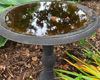 Bird bath