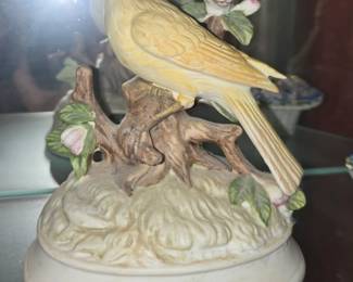 Bird