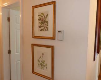 Framed decorative pictures