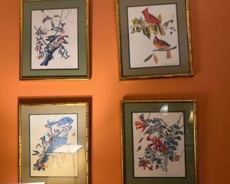 four Audubon prints