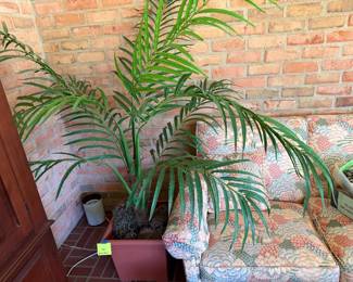 faux palm