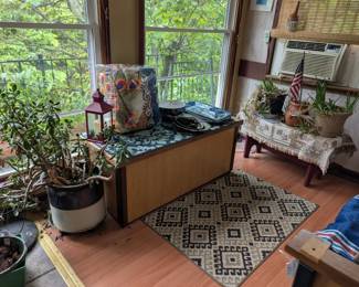 handmade chest, silver pieces, mature aloe, jade, and cactus plants