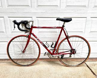 Fuji Street Bike